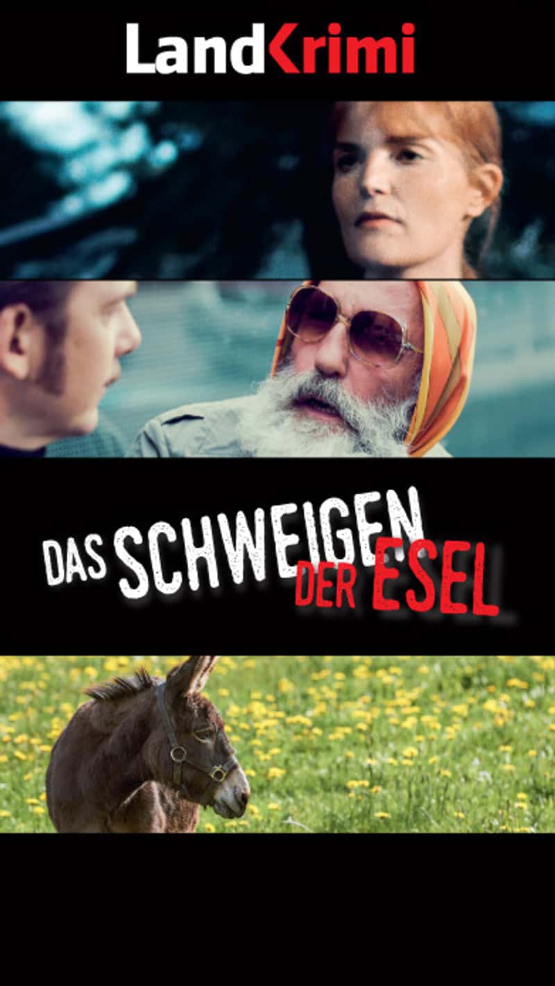 The silence of the donkeys
