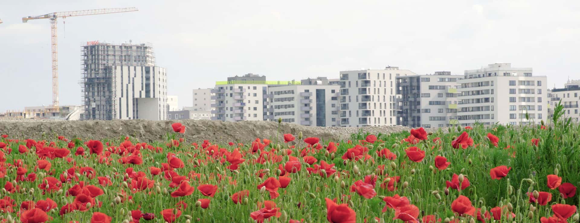Die beste Stadt ist keine Stadt