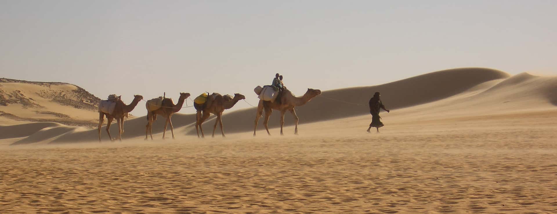 Winds Of Sand, Women Of Rock
