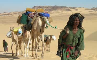 Winds Of Sand, Women Of Rock