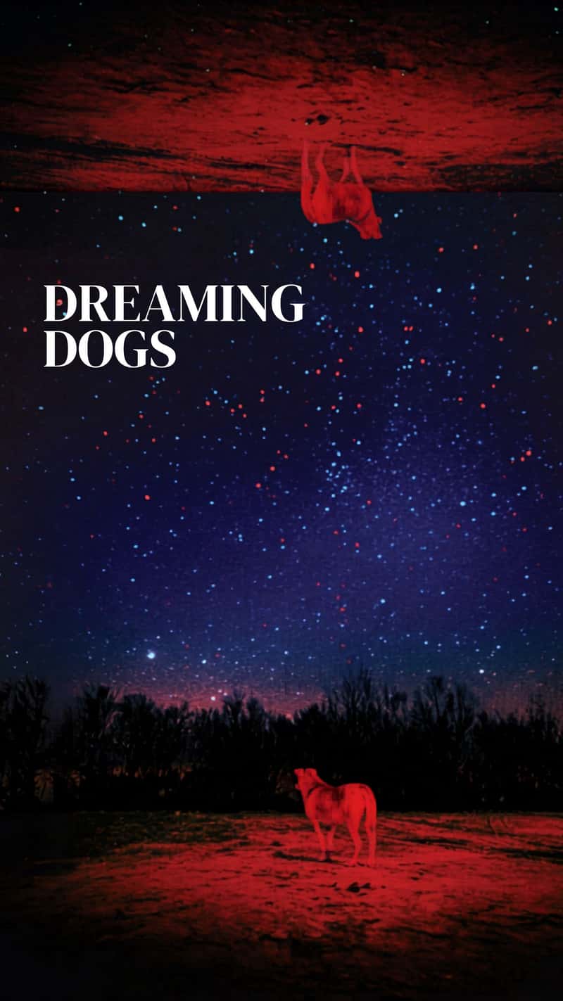 Dreaming Dogs