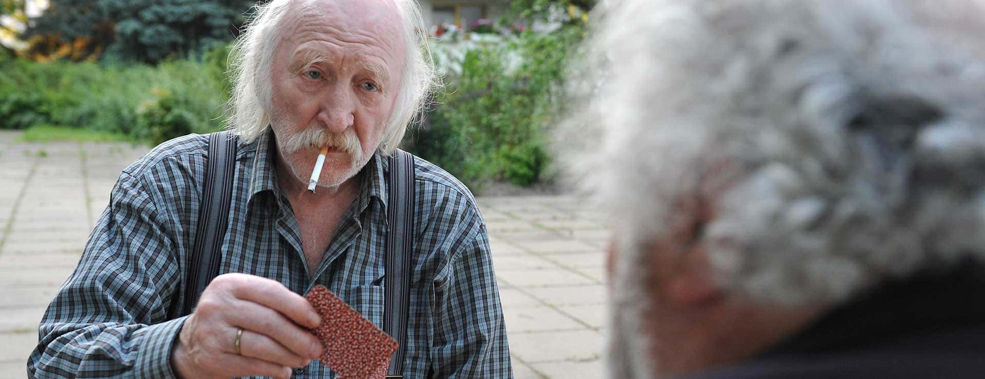 True Viennese 2 - Die Deppat’n und die Gspritzt’n