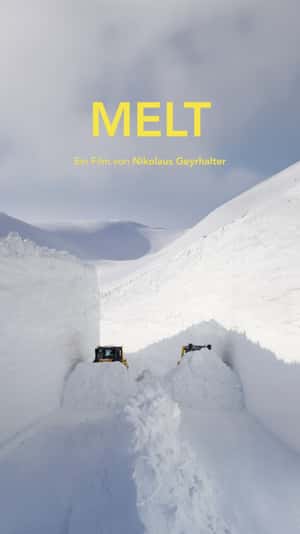 Melt