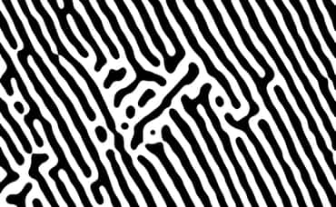 The Gift of Sound and Vision