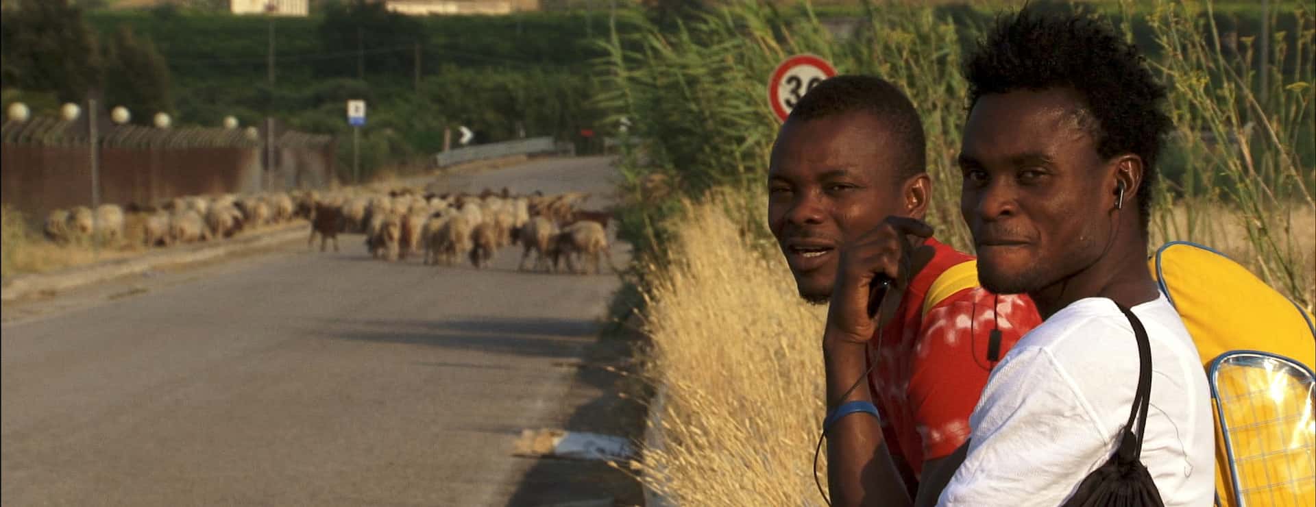 Those Who Go Those Who Stay