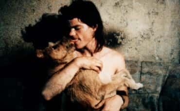 Animal Love