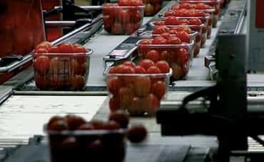 We feed the world