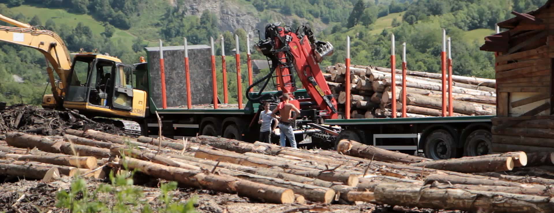 Wood